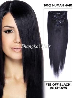 Silky Straight Indian Hair Clip Remy Human Hair Extensions