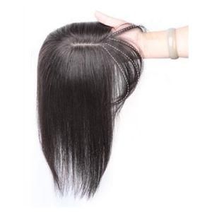 High Quality 2020 Hot Selling Wholesale Free Shipping Cuticle Aligned Unprocessed Brazilian Hair Virgin Human Hair Full Lace Wig