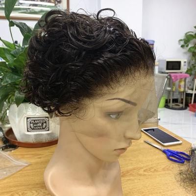 Hair Supplier Vendor Human Hair Wigs T Part Wig