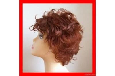 Popular New Human Hair Wigs