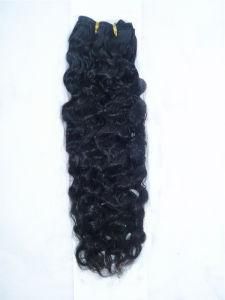 Natural Brazilian Virgin Human Hair