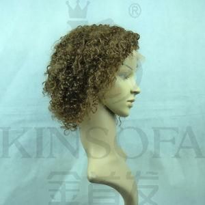 100% Africa Hair Front Lace Wig (Kinsofa 32038)