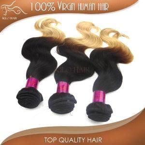 Virgin Brazilian Ombre Hair, 1b#/27# Top Grade High Quality Unprocessed Human Hair