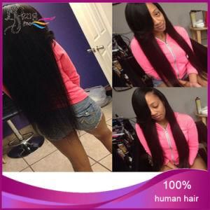 100% Human Hair Silk Straight Virgin Hair