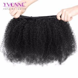 Afro Curly Brazilian Virgin Hair, 100% Human Hair Weaving Free Shipping