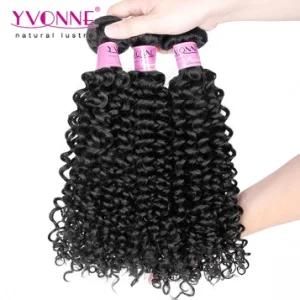 Top Quality Grade 7A 100% Unprocessed Brazilian Virgin Human Hair Extensions