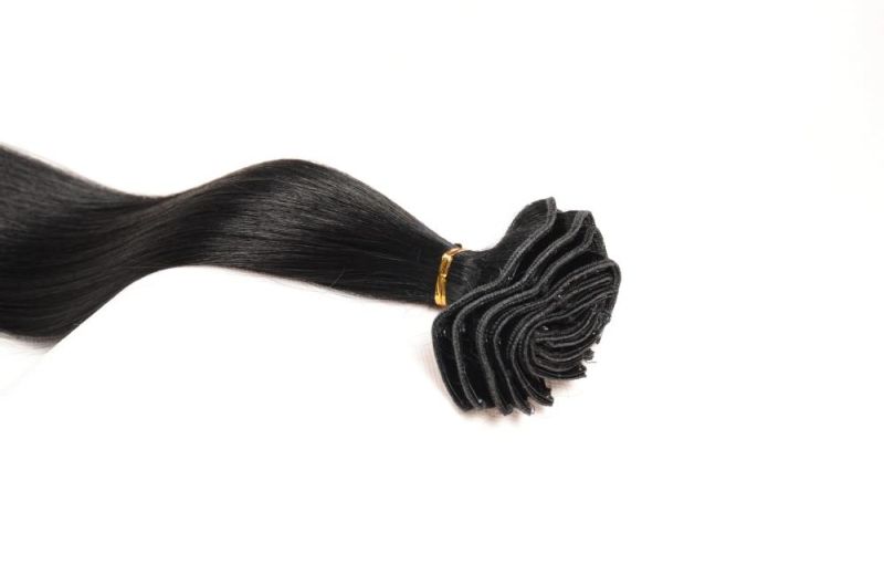 Double Drawn Full Head 10PCS Sets Brazilian Straight Hair Clip in Hair Extensions