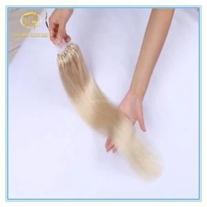 Customized Color High Quality #60 Platinum Double Drawn Micro Ring Extension Hairs with Factory Price Ex-019