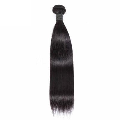 Straight Brazilian Hair Bulk Ombre Hair Wig Hair Bundles with Closure