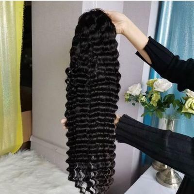 Sunlight Brazilian Loose Deep Wave Wig Human Hair