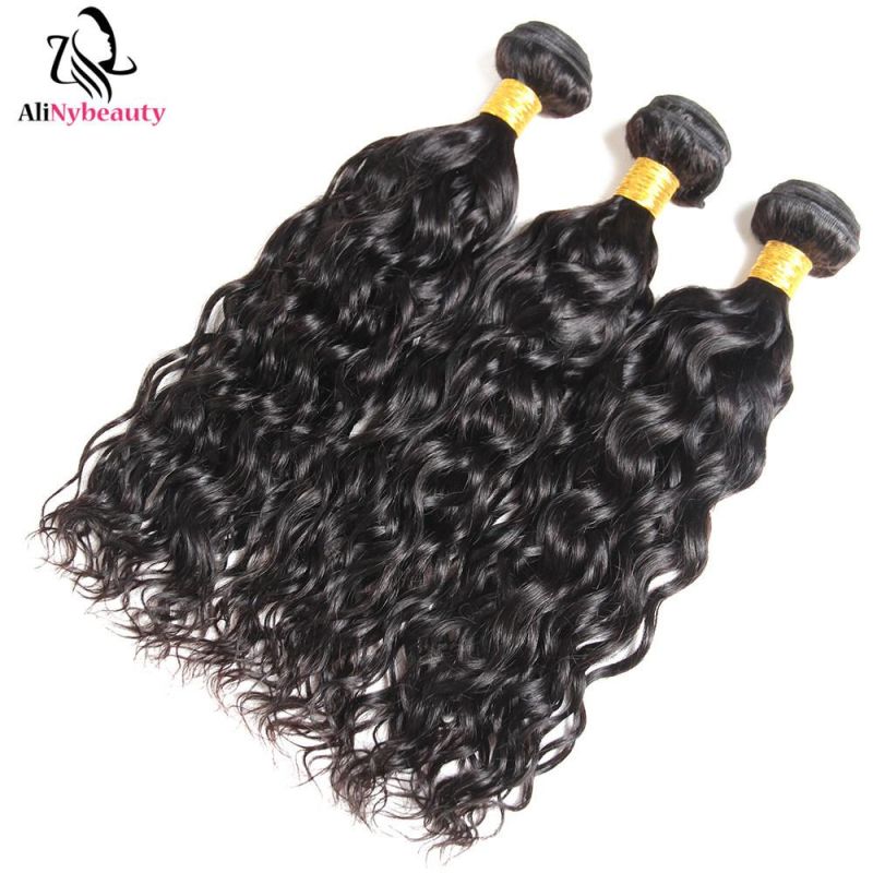 Alinybeauty Wholesale Virgin Brazilian Hair Bundles with Lace Frontal