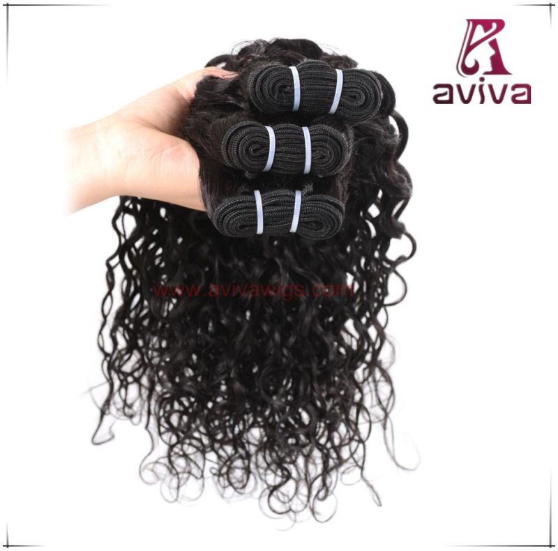 Brazilian Virgin Remy Hair Weave Double Drown Human Hair Water Curl Weave