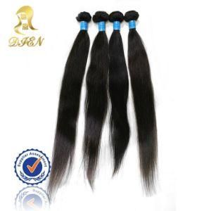 Top Quality Brazilian Human Hair Wet and Wavy Weave