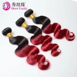 Real Hair Factory Malaysian Virgin Hair Extension Ombre Two Tone 1b/Burgundy Human Hair Body Wave Cheap Price