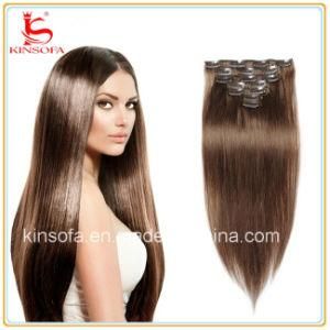 Clip in Human Hair Extensions Human Virgin Hair Straight Hair