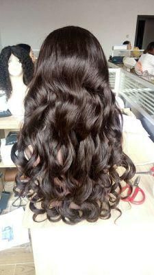 Cuticle Aligned Hair Nice Curly Human Hair Lace Wig