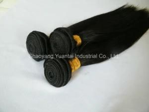 Straight Chinese/Indian Virgin Human Hair Weft (Weaving)