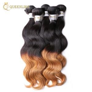 Raw Cambodian Wholesale Virgin Omber Human Hair