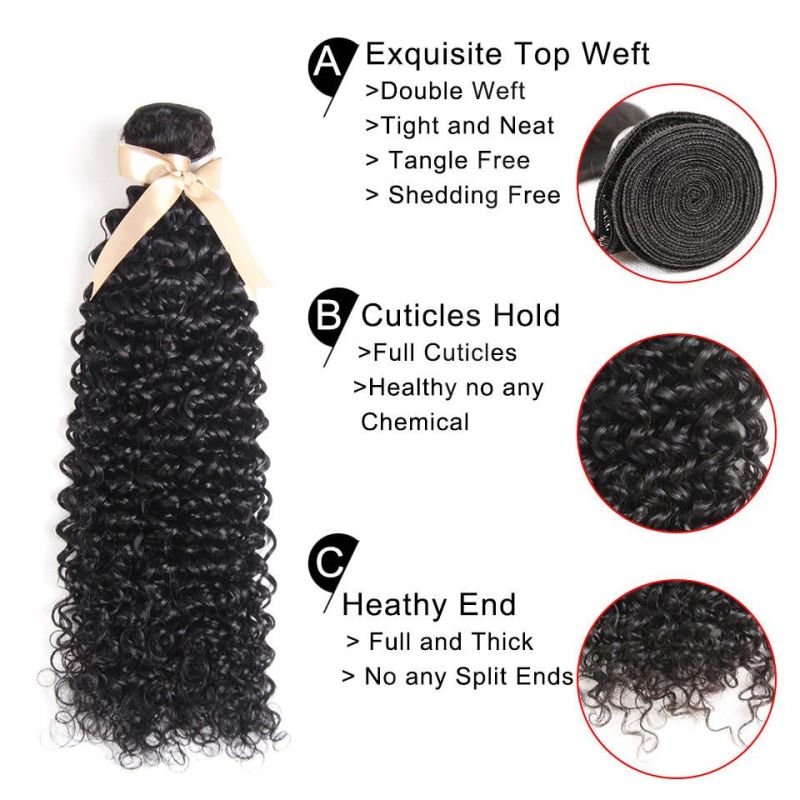 Luxuve Wholesale Hair Vendor Brazilian Virgin Jerry Curly Hair Bundles 100% Unprocessed Human Hair