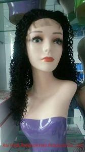 Human Hair Kinky Curely Lace Front Wig (RLS-009)