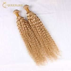 Human Brazilian Unprocessed Virgin Raw Cuticle Aligned Hair Weave