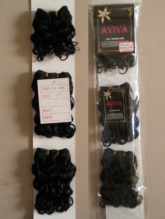 Wholesale Hot Selling Human Hair Weaving Wave and Curly Weft