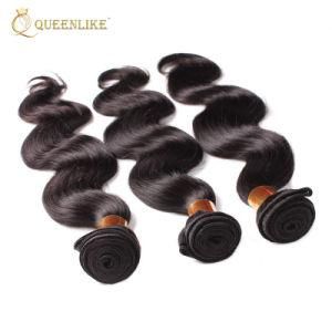 Raw Human Hair Virgin Hair Brazilian Hair Extensions