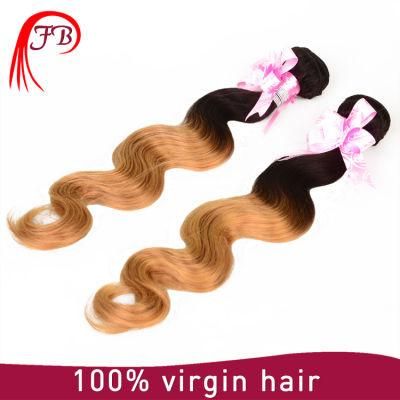 Barzilian Human Ombre Body Wave Remy Hair Extension