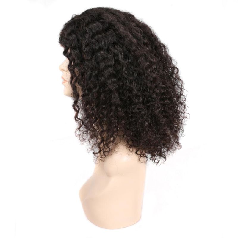 Factory Price Afro Curly Hair Had Lace Front Wig for Black Women