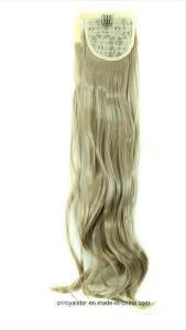 Top Quality Remy Straight Human Clip Hair Hair in Extenison