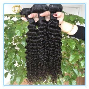 Natural Black Color Wig/Human Hair Products/Human Hair Extension Cut From One Donor Wfww-001