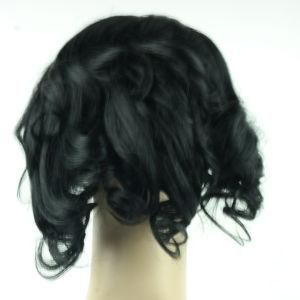 100% Human Hair Wig (kinsofa)