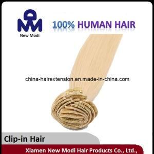 Virgin Brazilian Human Hair Clip in Extension