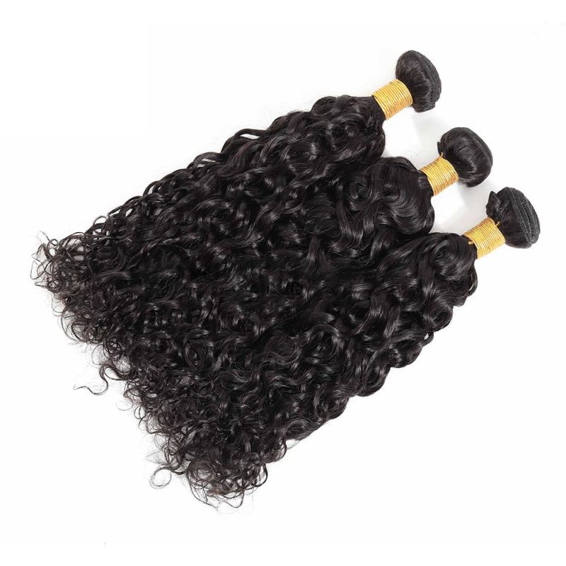 Wholesale Price Hair Water Curls Double Weft Brazilian Natural Extension