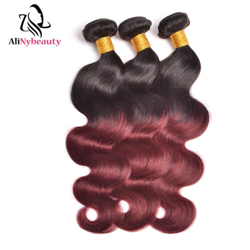 Alinybeauty Color 1b 99j Unprocessed Human Hair Weaves