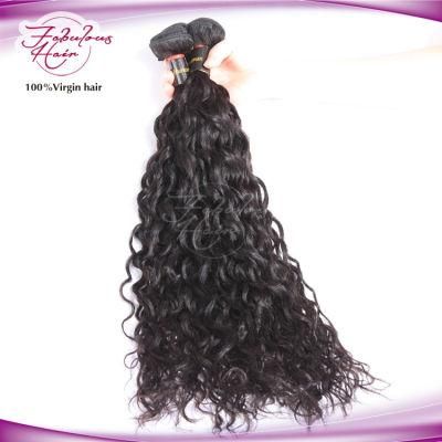 Natural Wave Brazilian Remy Virgin Hair
