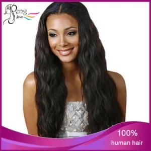 Wholesale Price Human Natural Wave Clip in Hair Extension