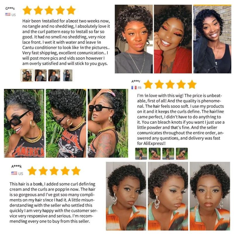 Sulight Brazilian Human Hair Pixie Curly Lace Wig