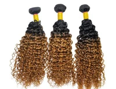 Brazilian Ombre Remy Human Hair Weft at Wholesale Price with SGS Approved (Curly #1b/30)