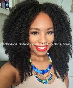 Fashion Kinky Curly Hair Full Lace Wig