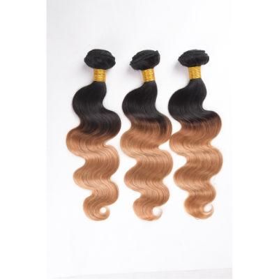 Ombre Hair Weave Bundles Brazilian Body Wave Virgin Hair Bundles 1/27