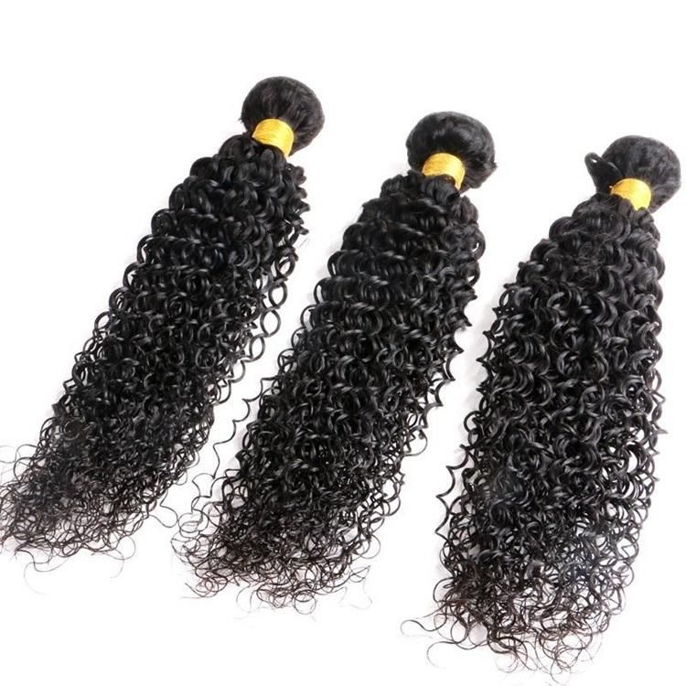 Deep Curly Hair Bundles 30, 32, 34 Inch Human Hair Brazilian Vigin Hair with Closure