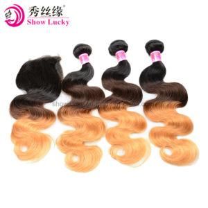 European Virgin Hair Extension 3 Bundles and Closure Ombre Color 1b/4/27 Body Wave Remy Human Hair