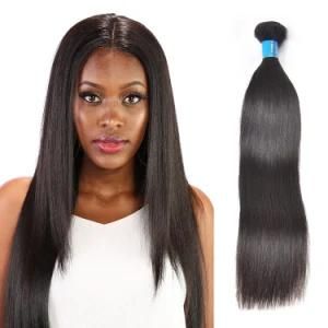 9A Virgin Brazilian Human Hair Bundles, Wholesale Brazilian Hair Straight Human Wig