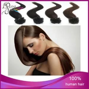 100% Virgin Hair Striaght Human Flat Tip Human Hair