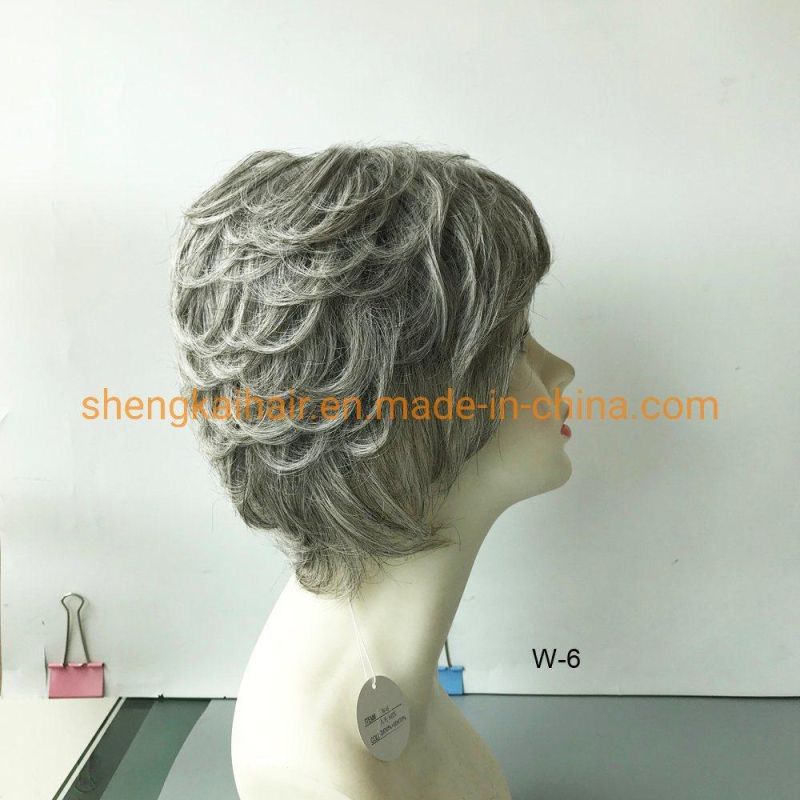 Premium Quality Full Handtied Grey Hair Color Women Hair Wigs