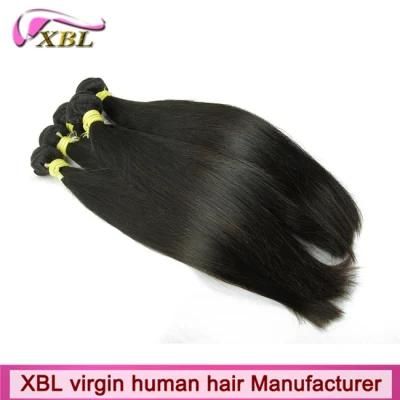 Factory Wholesale Virgin Brazilian Hotsale Hair