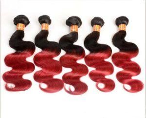 Human Hair- Two Tone Hair Extension