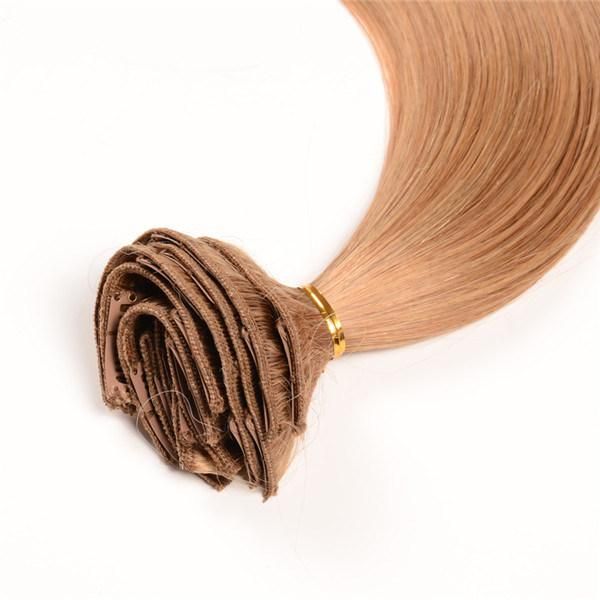 Xuchang Beautyhair Hot Selling Grade 8A Clip in Hair Extension