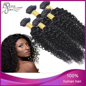 100% Human Virgin Hair Good Human Hair